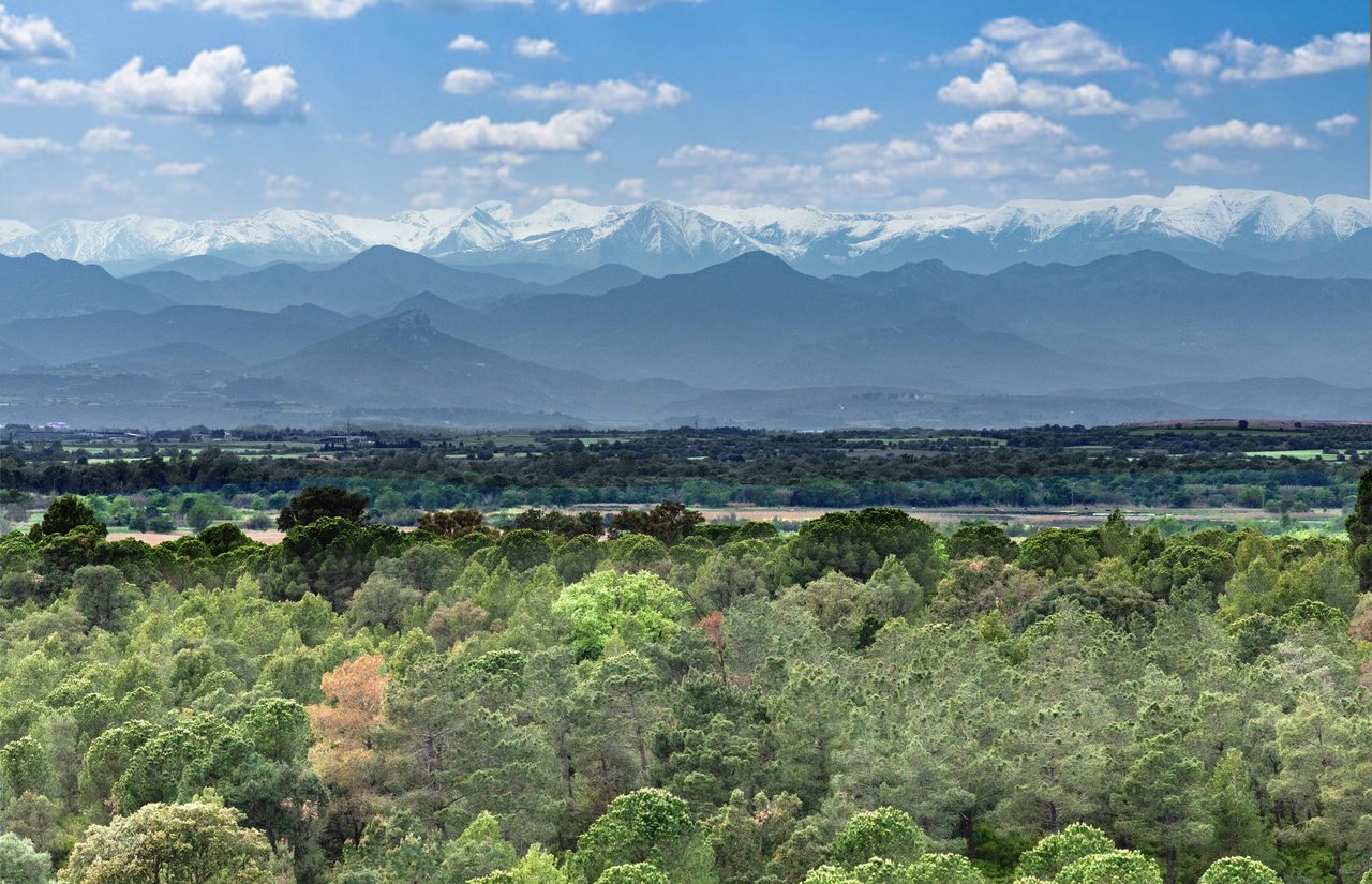 Vistas a los Pirineos nevados desde el edificio